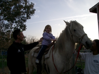 04-01 (Horse Riding Arnies1)