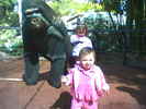 04-02 (Katie and Allie with Gorilla)