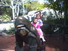 04-02 (Katie and allie on Gorilla)