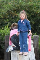 IMG 4838