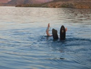 CIMG1641