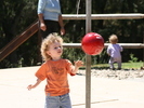 IMG 1162