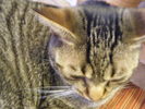 DSCF1279