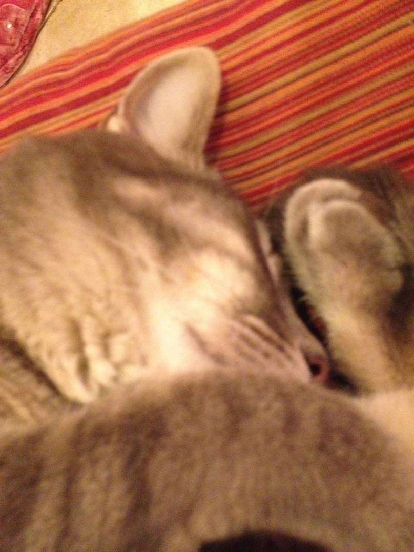 <font size=-1>2014-01-16</font><br> 19 42 35