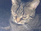 <font size=-1>2014-01-16</font><br> 19 47 54