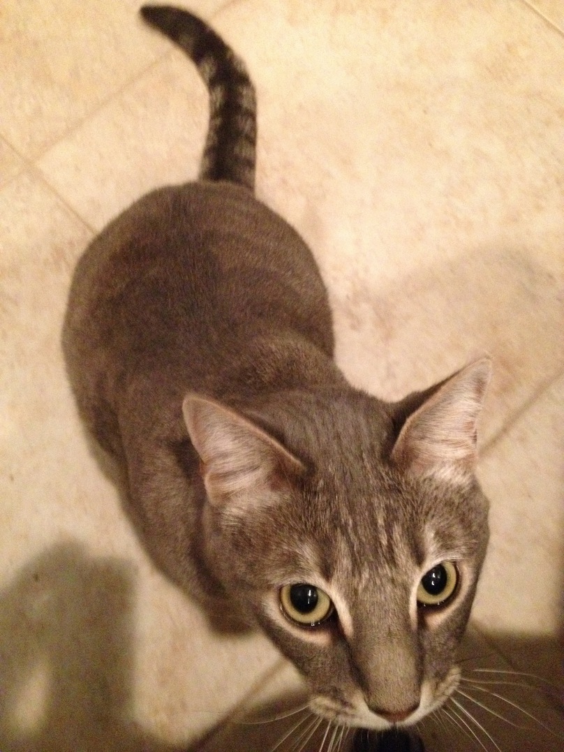 <font size=-1>2014-02-06</font><br> 21 31 20