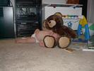 W-bear