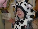 CowCostume2