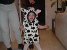 CowCostume4
