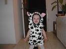 CowCostume5