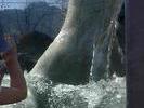 Zoo1