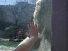 Zoo2