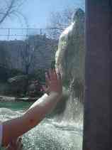 Zoo2