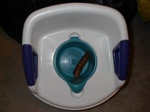 02-01(1st poop)