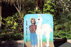 03-01(Zoo10)