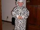 03-08 (KTasDalmation)