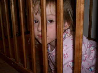 03-11 (Kitty Cage)