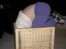 03-12 (basket)