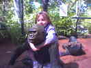 04-02 (Katie on Gorilla)