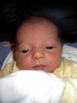 02-10 (Allie2)