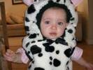 03-10 (Cow Costume)