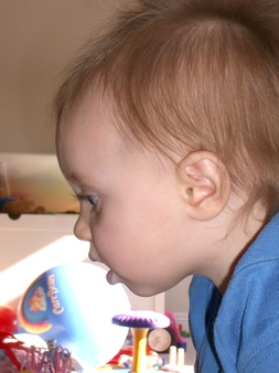 03-11 (Profile1)