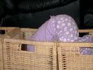 03-12 (basket2)