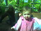 04-02 (allie and Gorilla)