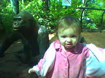 04-02 (allie and Gorilla)