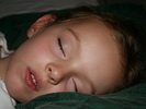 IMG 0086