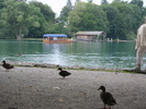 IMG 0098