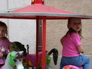 IMG 0110