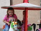 IMG 0113