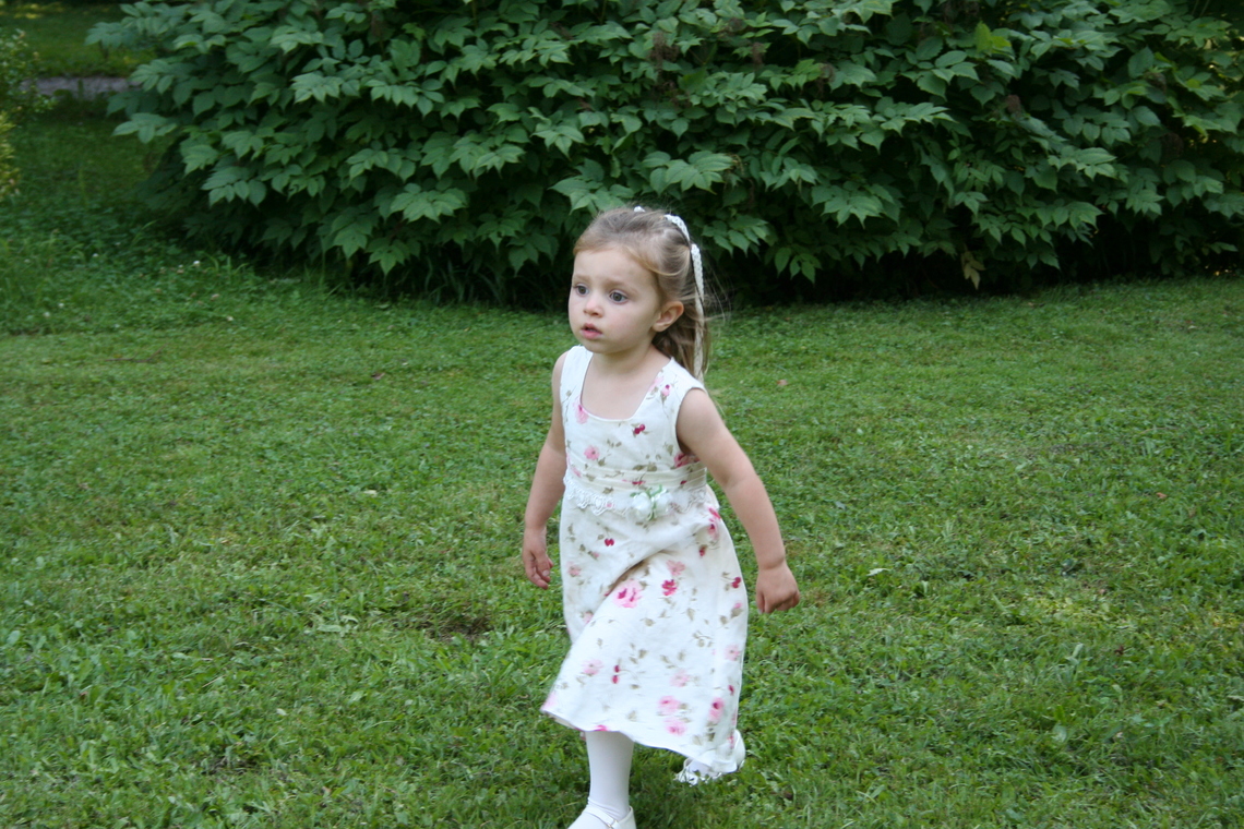 IMG 0211