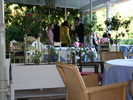 IMG 0241
