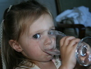 IMG 0251