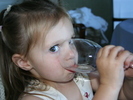 IMG 0252