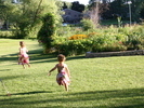 IMG 0410