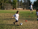 IMG 0426