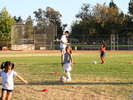 IMG 0427