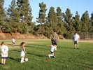 IMG 0429