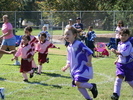 IMG 0441