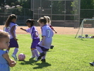 IMG 0443