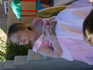 IMG 0458