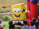 IMG 0501