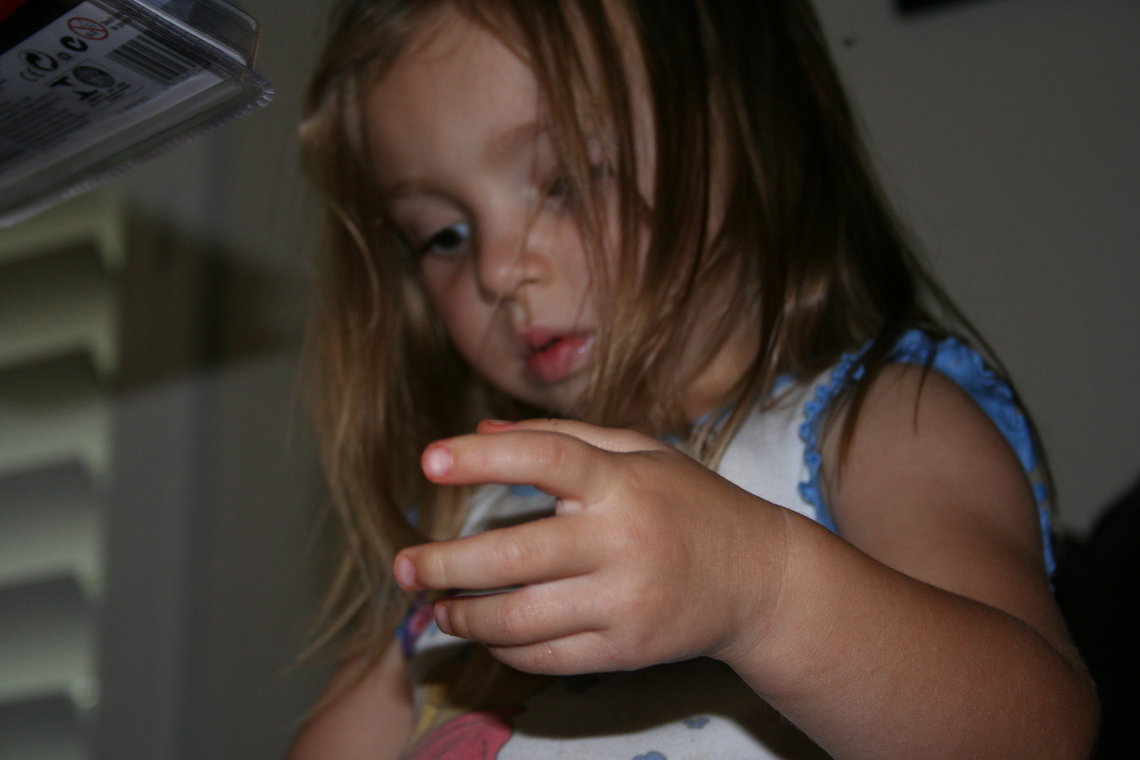 IMG 0518