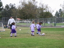 IMG 0601