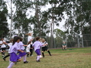 IMG 0611