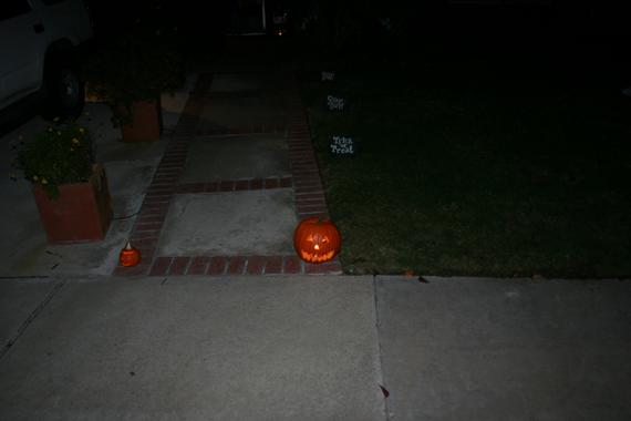 IMG 0631