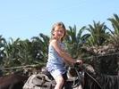 IMG 0989